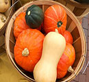 Pumpkins-and-squash